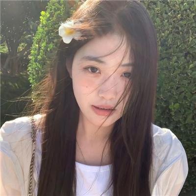 高速公路家族